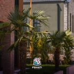 Fshati Gjelbër, Moglicë, Banese 2+1, 102.69m²