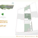 VARGU I BLERTË SHËPIA 