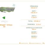 VARGU I BLERTË SHËPIA