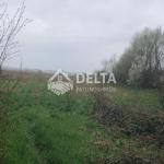 Truall në shitje në Çagllavicë