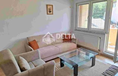 Banesë me qira në Qendër