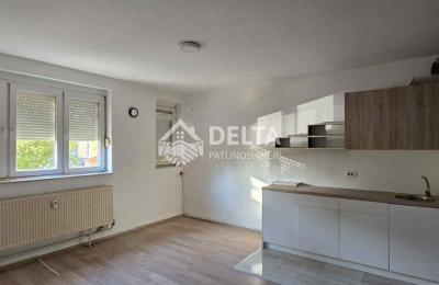 Zyre me qira në Lagjën Ulpianë