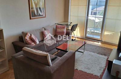 Banese me Qira ne Qender