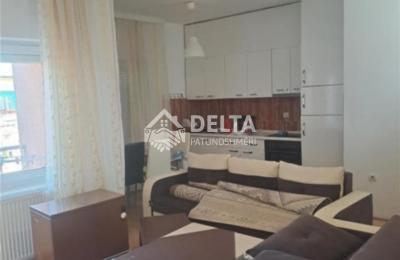 Banesë me qira në Qendër