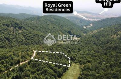 Truall në shitje në Zllatar