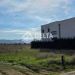 Truall në shitje në Çagllavicë