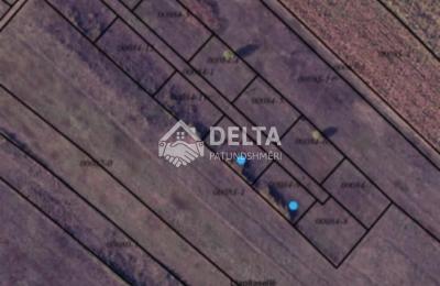 Truall në shitje në Veternik