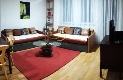 Banesë me qira në Qendër