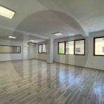 Zyre 360m2 me qira në Qendër