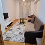 Banesë me qira në Qendër