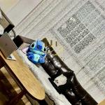 Banesë me qira në Ulpianë