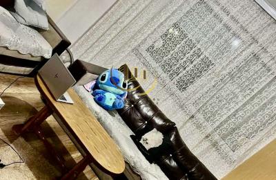 Banesë me qira në Ulpianë