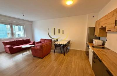 Banesë me qira në Qendër