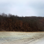 Ringa (Ipet Toka me Qera në Caralevë)134/25