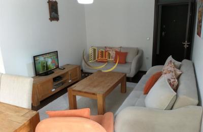 Banesë me qira në Arbëri – Dragodan