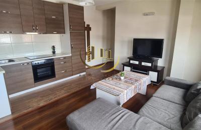 Banesë me qira në Qendër