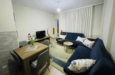 Banesë me qira në Qendër