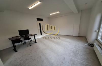 Zyre Duplex me qira në Qendër