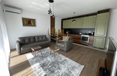 Banesë me qira në Arbëri – Dragodan