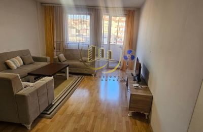 Banesë me qira në Qendër