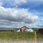 Ringa (Shitet Toka ne Babush-Gadime)347/22