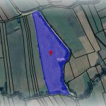 Ringa (Shitet Toka në Gaçkë-Topojan)381/24