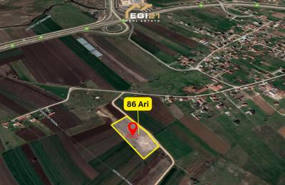 Truall për SHITJE 86 Ari Babush