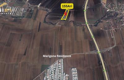 Trualli 155 Ari në SHITJE, Preoc