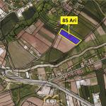 Trull 85 Ari për SHITJE, Gracë