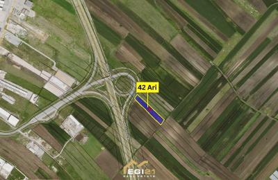 Truall 42 Ari për SHITJE, Konjuh