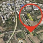 Truall 42 Ari për SHITJE, Uglar