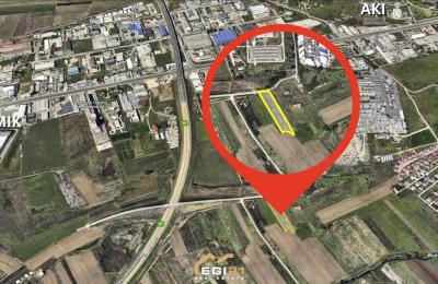 Truall 42 Ari për SHITJE, Uglar