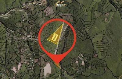 Truall 76.5 Ari për SHITJE, Grashticë