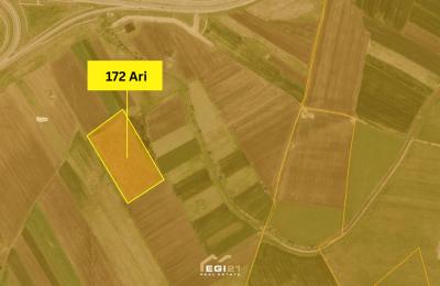 Truall 172Ari për SHITJE, Uglar