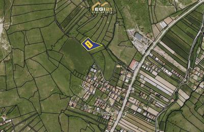 Truall 38 Ari për SHITJE, Llukarë