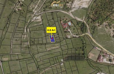 Truall 4.8 Ari për SHITJE, Bernicë e Epërme