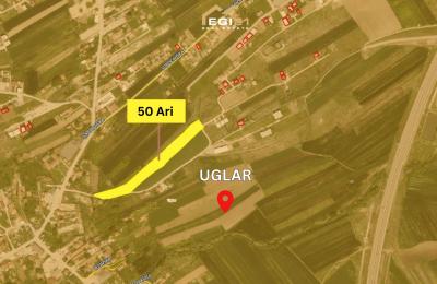 Truall 50Ari për SHITJE, Uglar