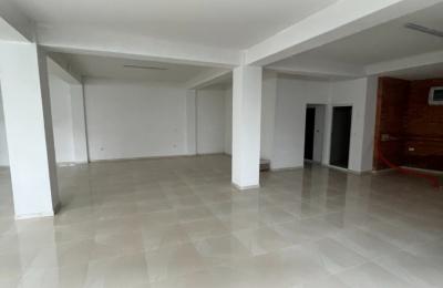 Ringa (Ipet Lokali me Qera rr,Zenel Hajdini)118/23