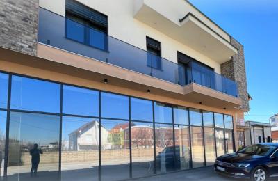 Ringa (Ipet Lokali me Qera)113/23