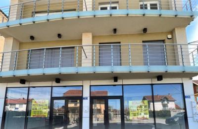 Ringa (Ipet Lokali me Qera ne rr,Astrit Bytyqi)116/23