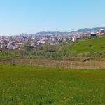 Shitet toke ne Arapaj Durres.