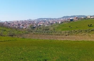Shitet toke ne Arapaj Durres.