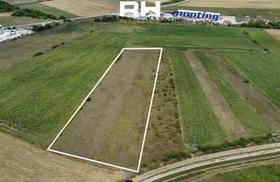 Truall 90 ari në SHITJE në Mazgit