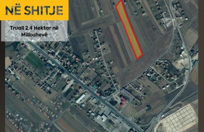 Truall 2.4 Hektar në SHITJE në Milloshevë