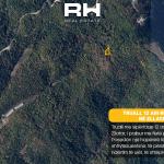 Truall 12 ari në SHITJE në Zllatar