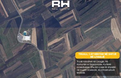 Truall 1.07 Hektar në SHITJE në Livagjë