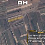 Truall 2 Ha në SHITJE në Lepi