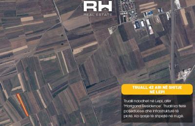 Truall 42 ari në SHITJE në Lepi