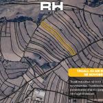 Truall 43 ari në SHITJE në Novobërdë