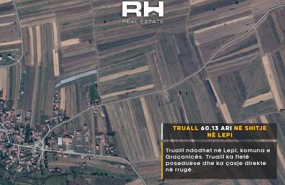 Truall 60.13 ari në SHITJE në Lepi